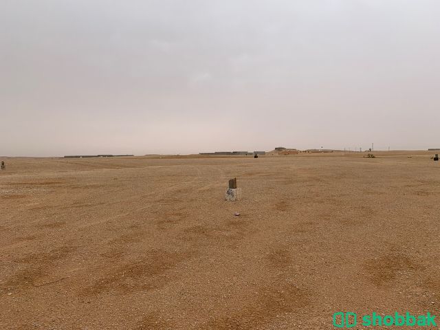 ارض الايجار  Shobbak Saudi Arabia