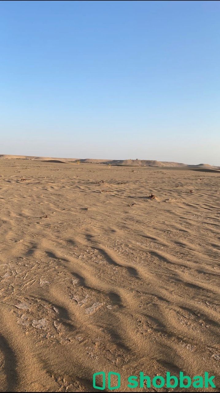 ارض زراعية للإجار السنوي Shobbak Saudi Arabia