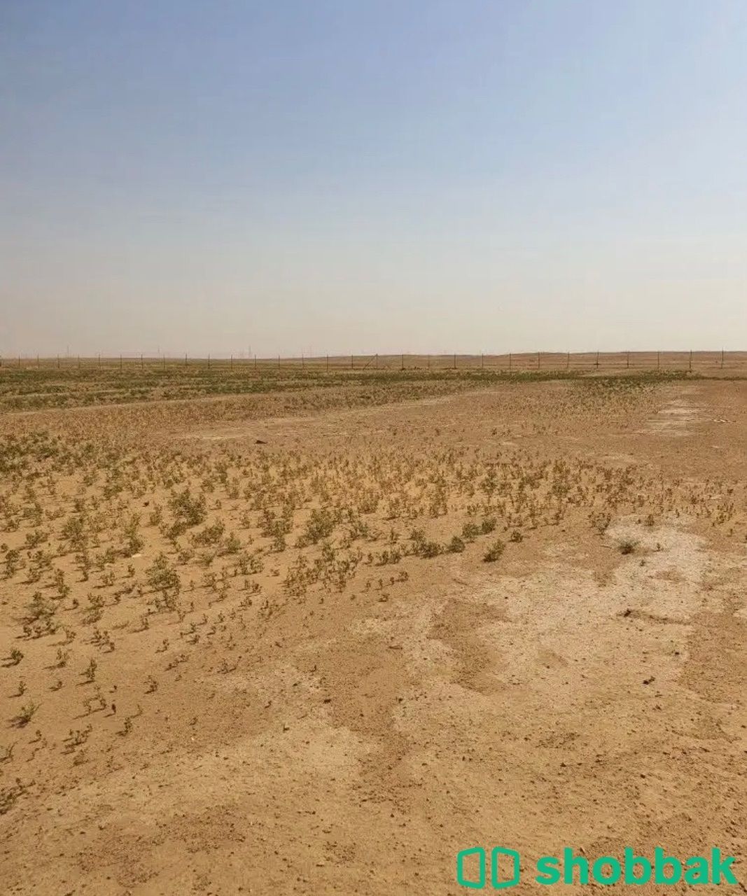ارض زراعيه شباك السعودية
