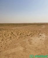 ارض زراعيه Shobbak Saudi Arabia