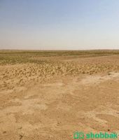 ارض زراعيه شباك السعودية