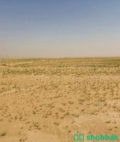 ارض زراعيه Shobbak Saudi Arabia