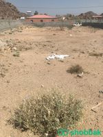 ارض للبيع في السيل الصغير ( ذوي حجي ) Shobbak Saudi Arabia