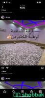 استراحة الجوري بالحمدانية Shobbak Saudi Arabia