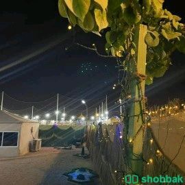 استراحة المخيم بالضاحية  شباك السعودية