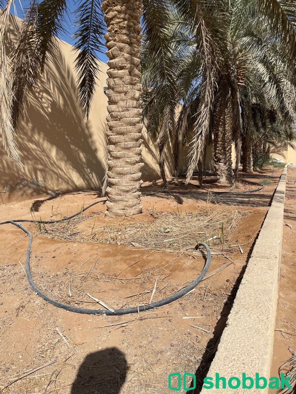 استراحه-مزرعه-للبيع في حي الرمال Shobbak Saudi Arabia