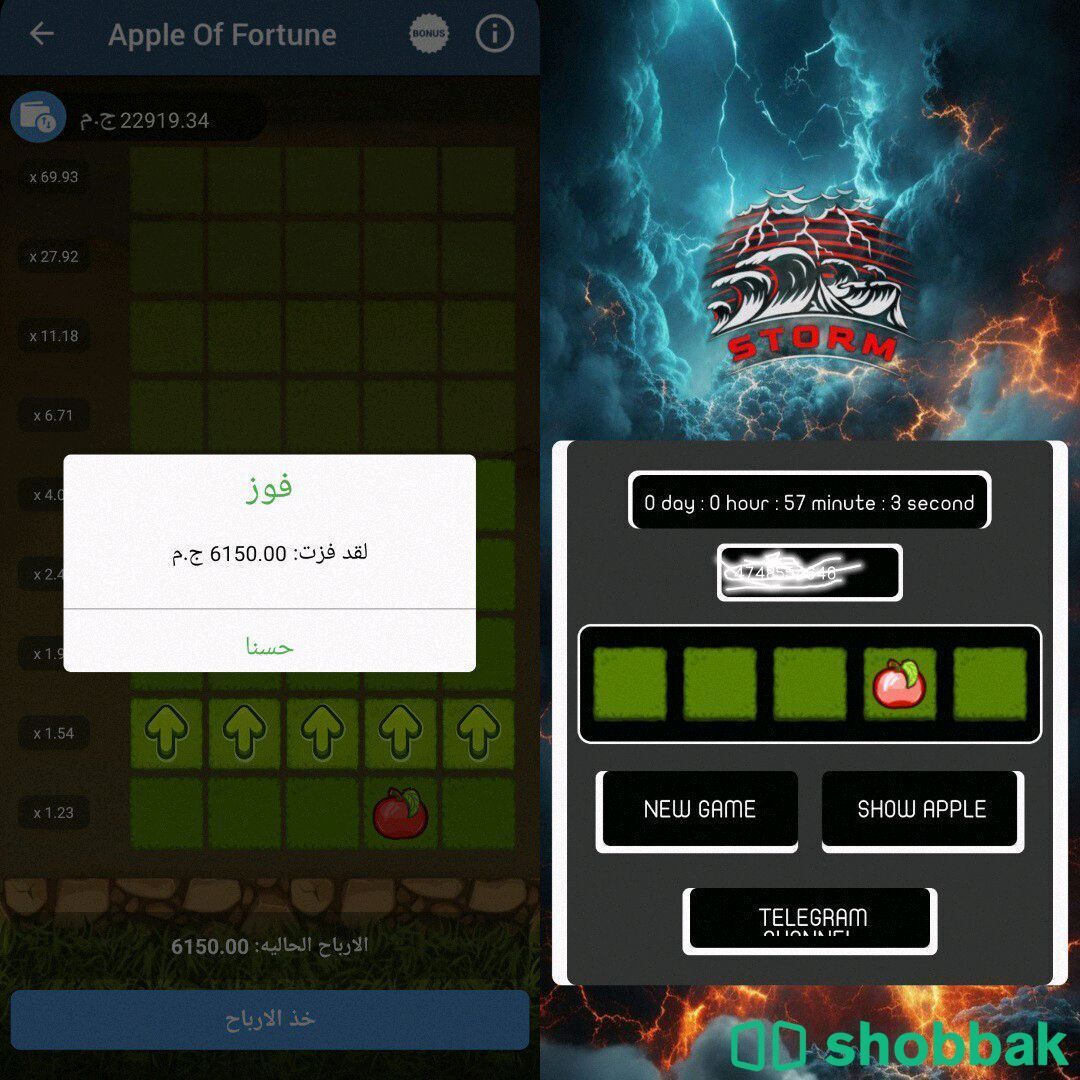 اسكربت التفاح  شباك مصر