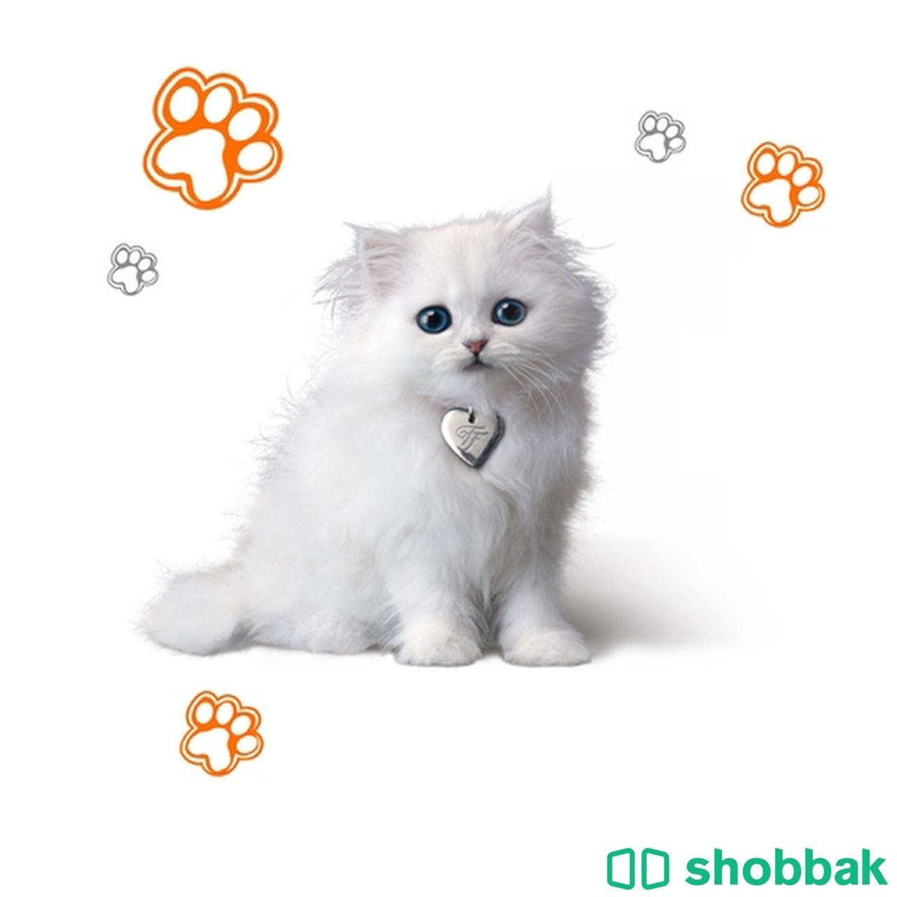 اسويلك شعار او لوجو ل متجر الكتروني ل بيع قطط او كلاب او خيل Shobbak Saudi Arabia