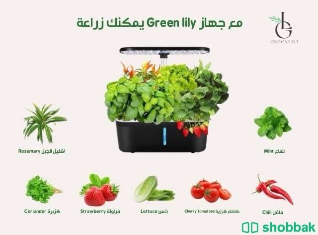 اصبح زراعة الخضروات والفواكة بين يديك  Shobbak Saudi Arabia