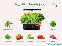 اصبح زراعة الخضروات والفواكة بين يديك  Shobbak Saudi Arabia