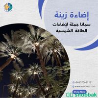 اضاءات زينة للنخيل بالطاقة  Shobbak Saudi Arabia