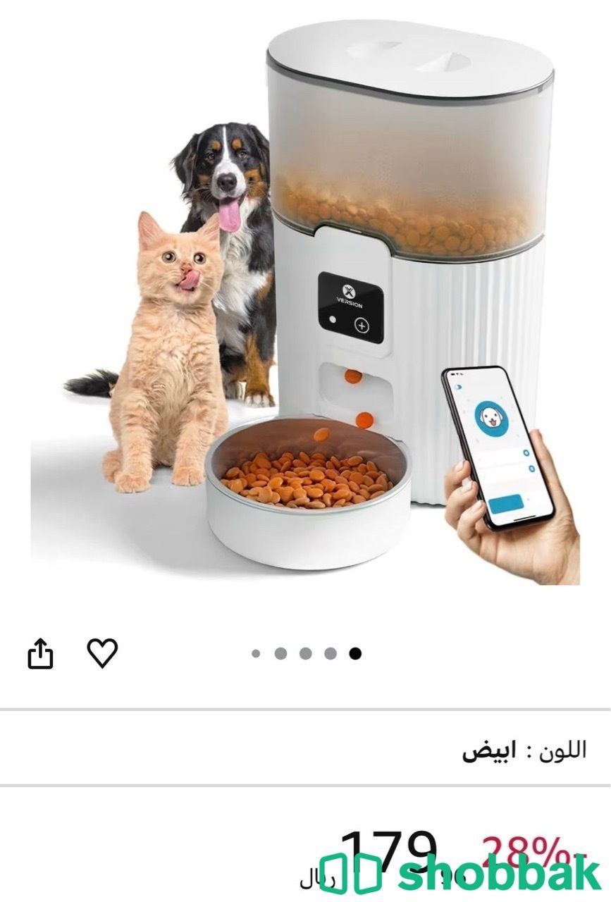 اغراض قطط للبيع شباك السعودية