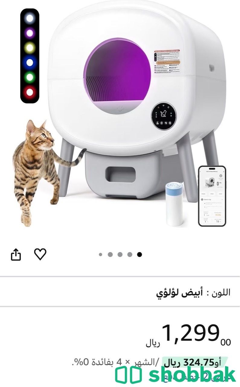 اغراض قطط للبيع شباك السعودية