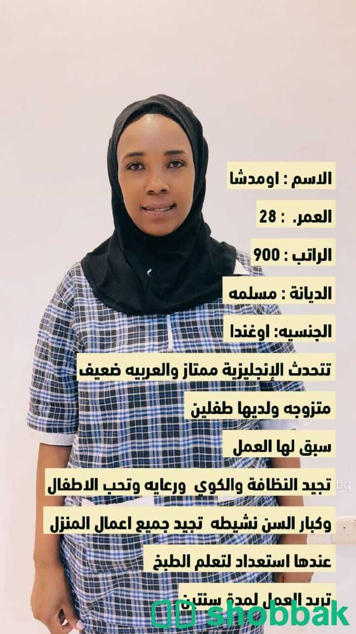 اغندي مسلم شباك السعودية