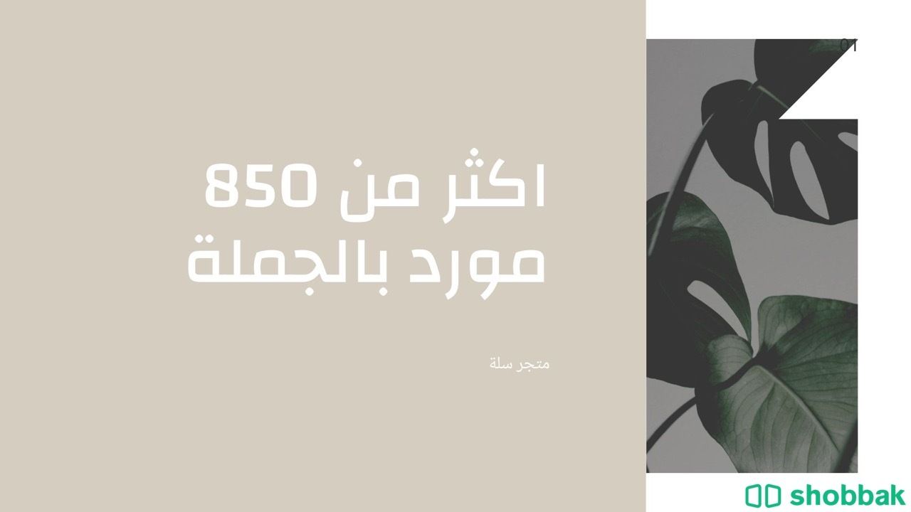 اكثر من 850 ارقام موردين بالجملة في السعودية Shobbak Saudi Arabia