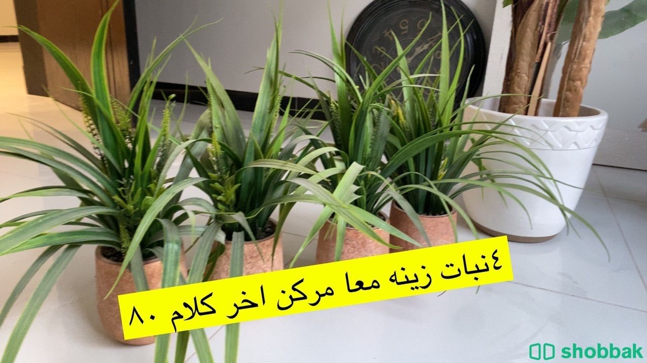 اكسسورات للمنزل  Shobbak Saudi Arabia