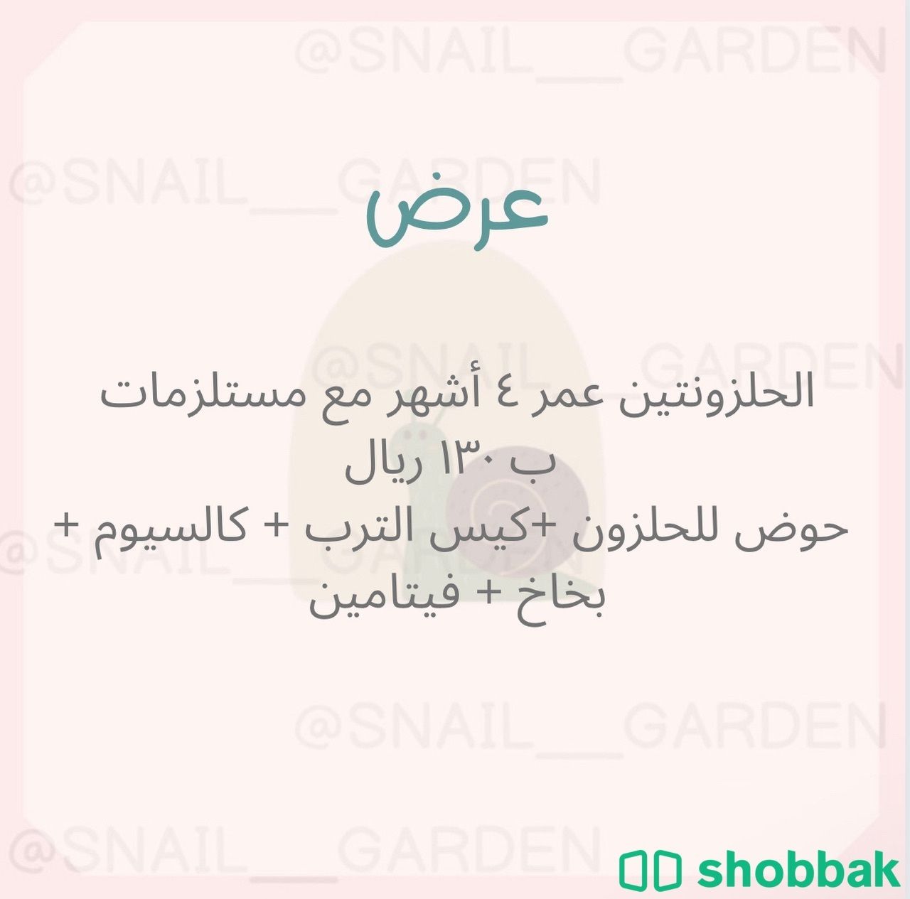 الحلزون  Shobbak Saudi Arabia