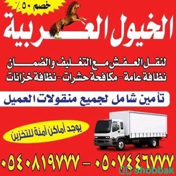الخيول العربيه لنقل العفش  Shobbak Saudi Arabia