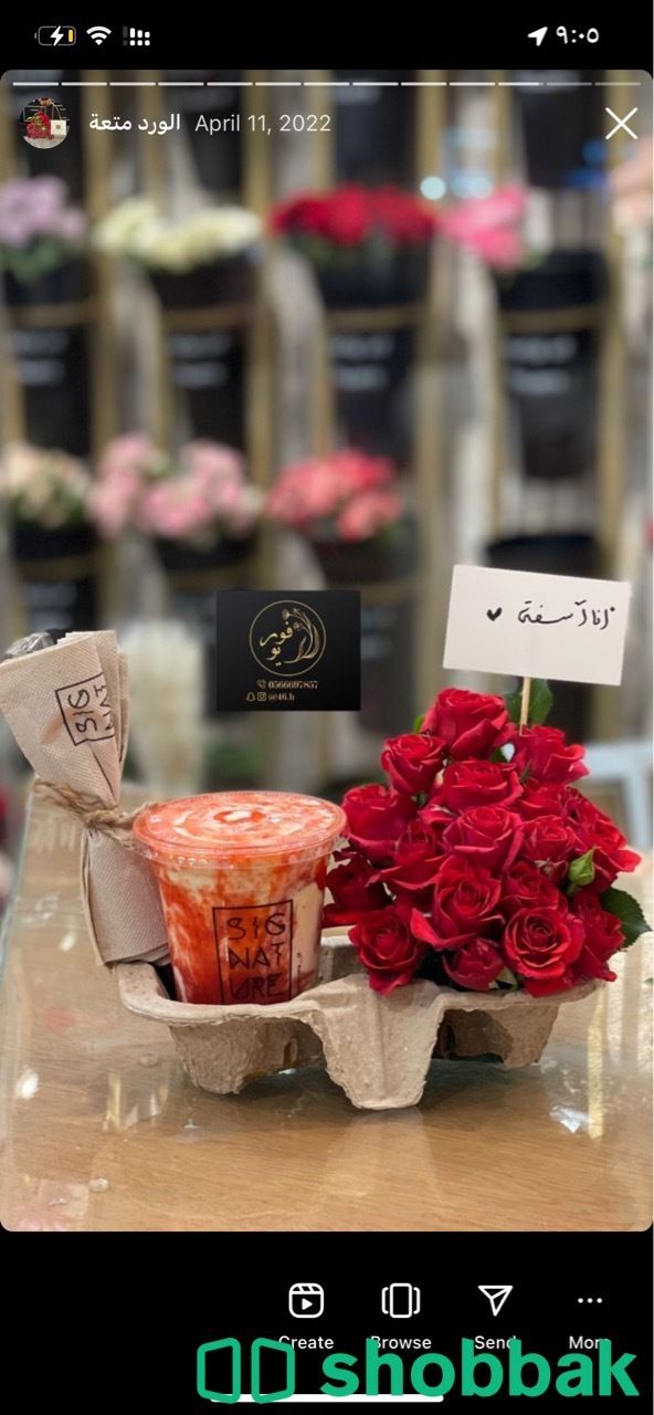 الورد متعة Shobbak Saudi Arabia