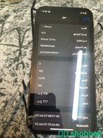ايفون 12 برو Shobbak Saudi Arabia