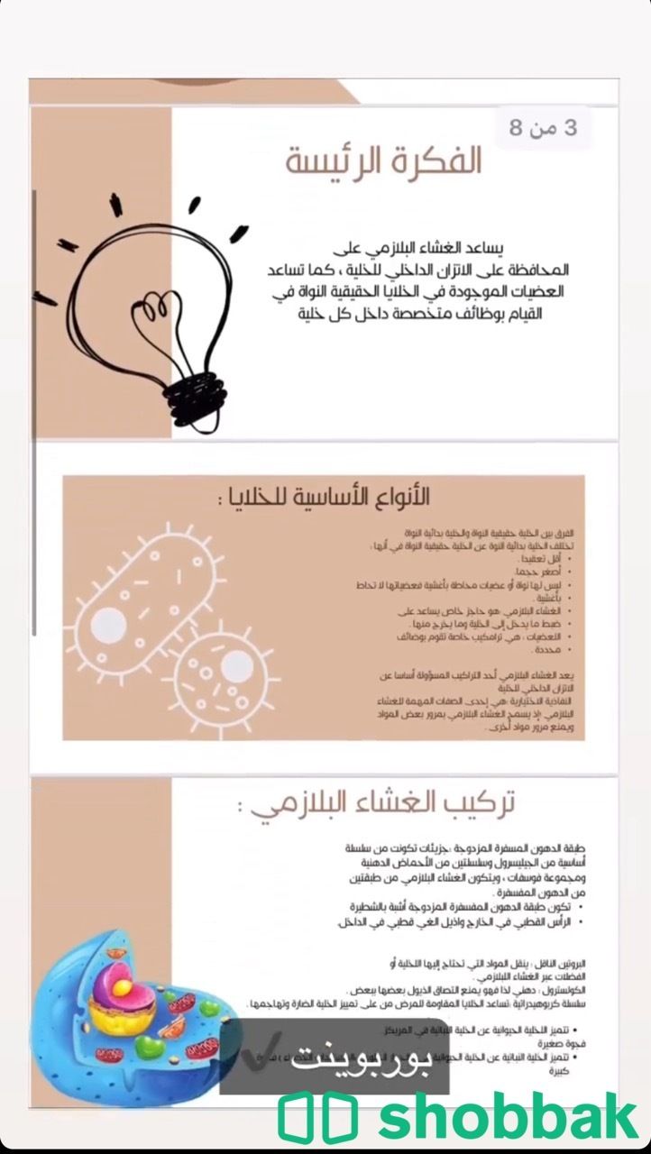 بحوث ومشاريع لطلاب وطالبات الثانوي Shobbak Saudi Arabia