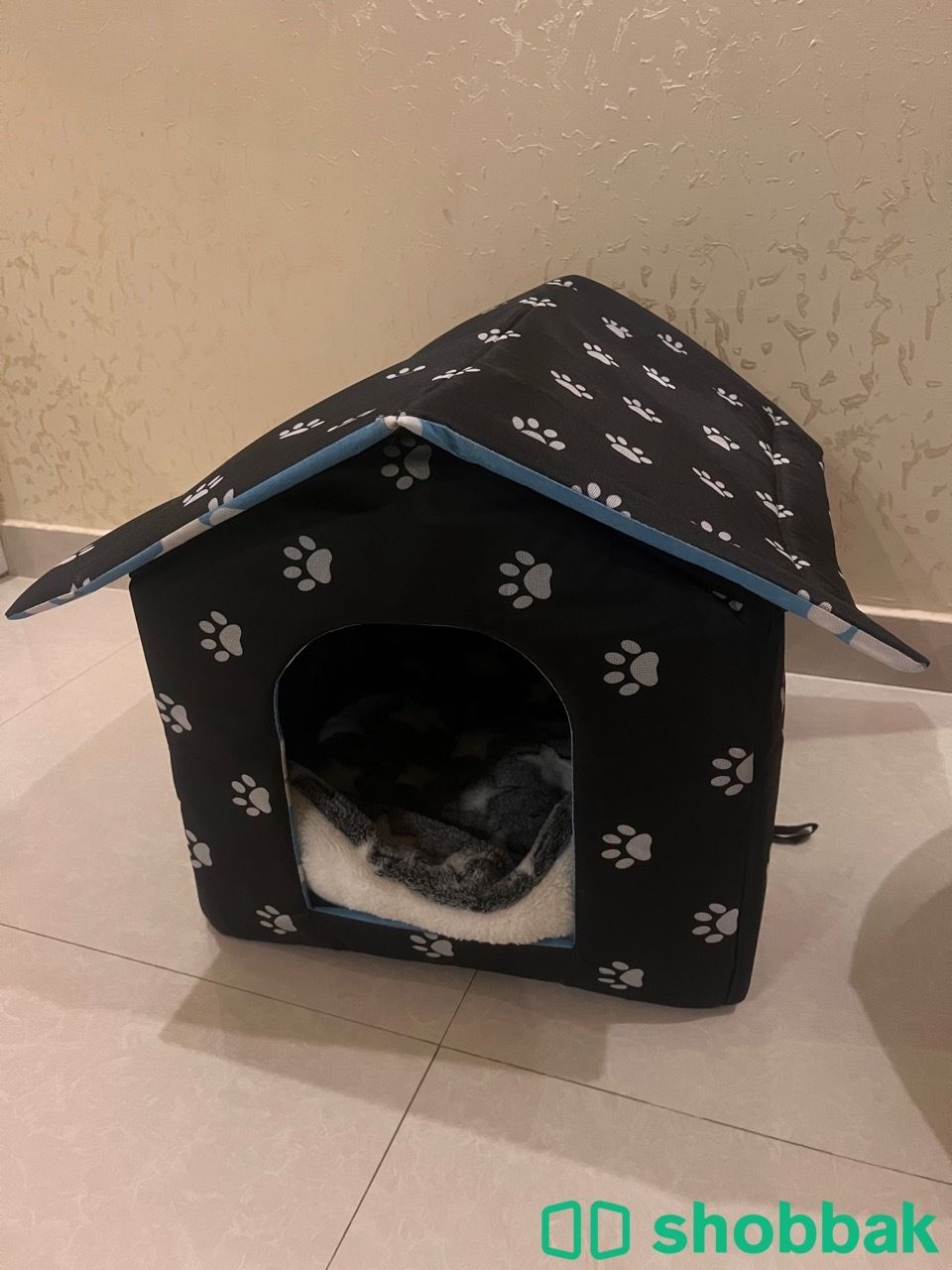 بيت قطط شباك السعودية