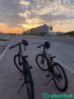 تأجير دراجات Shobbak Saudi Arabia