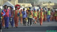 تاجير عماله  Shobbak Saudi Arabia