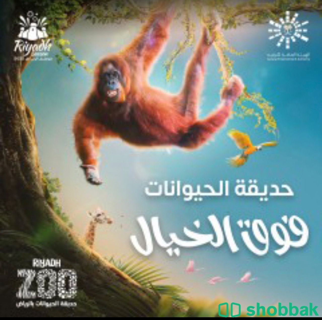 تذاكر حديقة الحيوان ليوم الخميس5/1 Shobbak Saudi Arabia