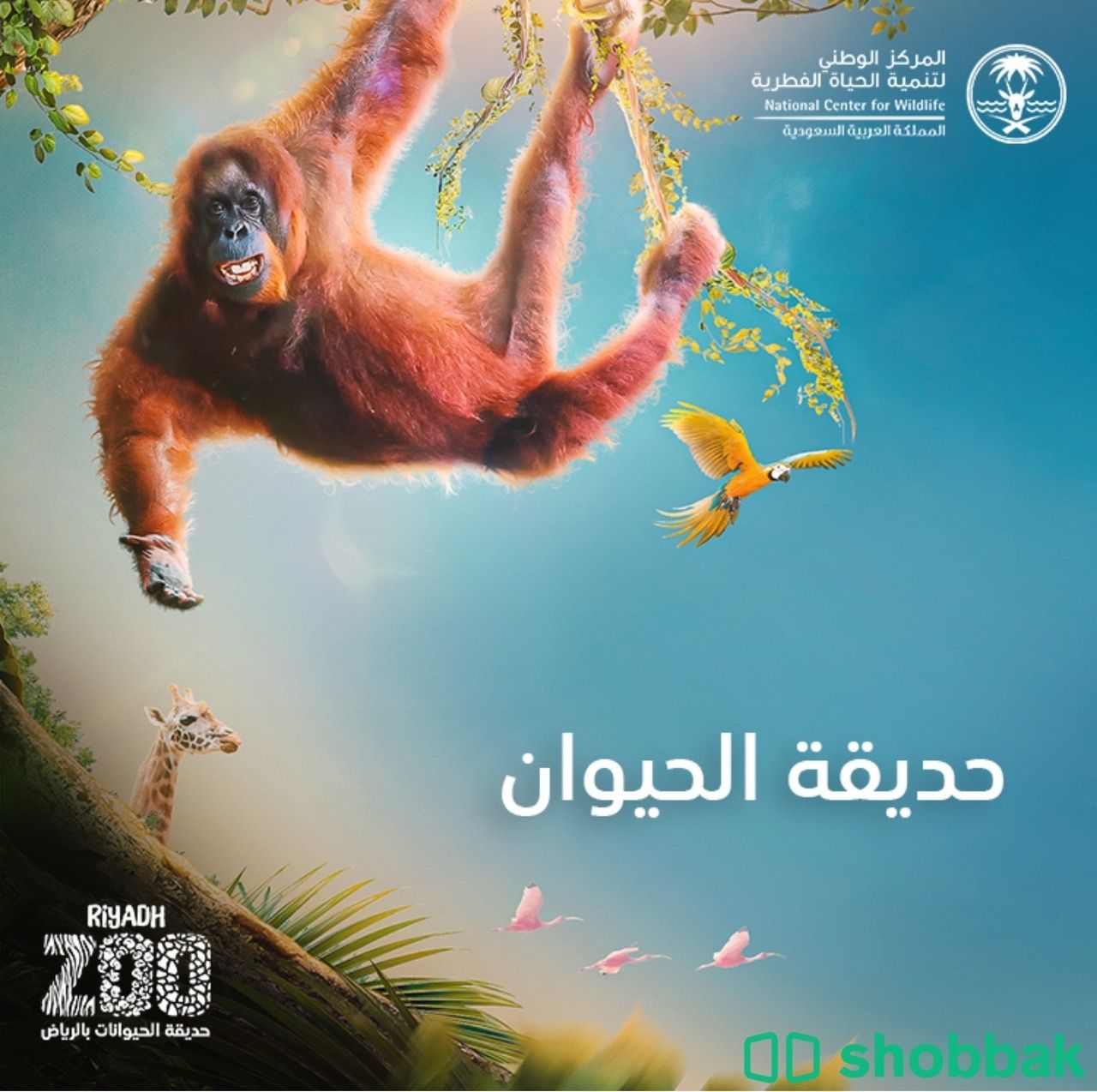 تذاكر حديقه الحيوانات Shobbak Saudi Arabia