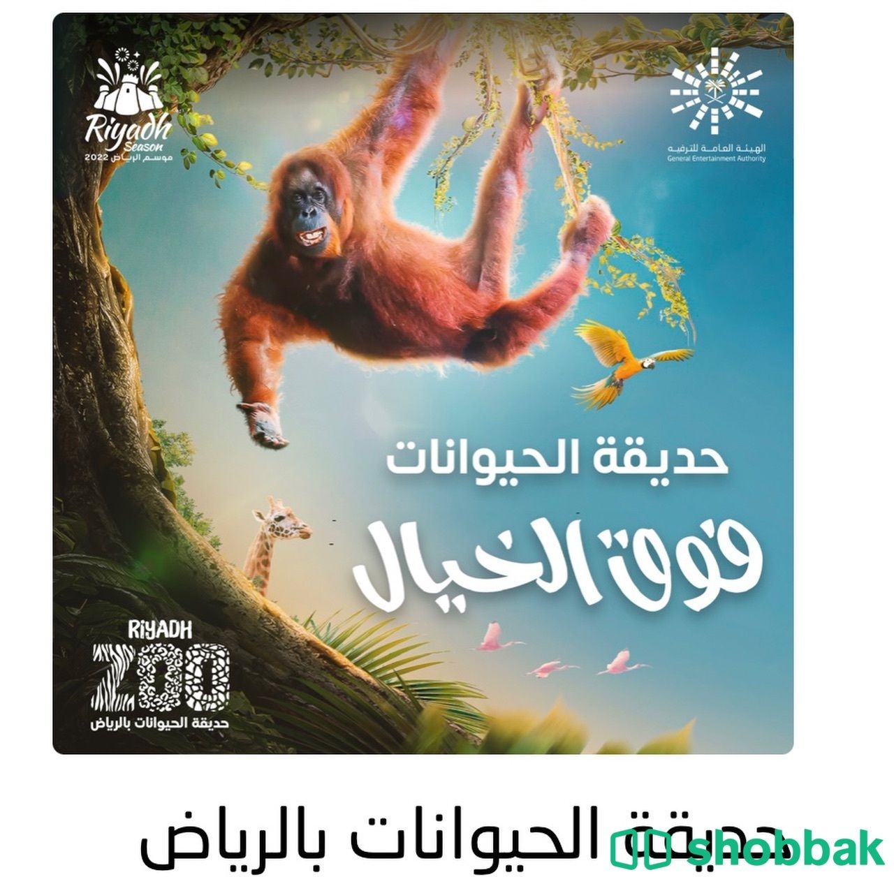 تذكرة كبار لحديقة الحيوان (الرياض-الملز) ١٠نوفمبر  Shobbak Saudi Arabia
