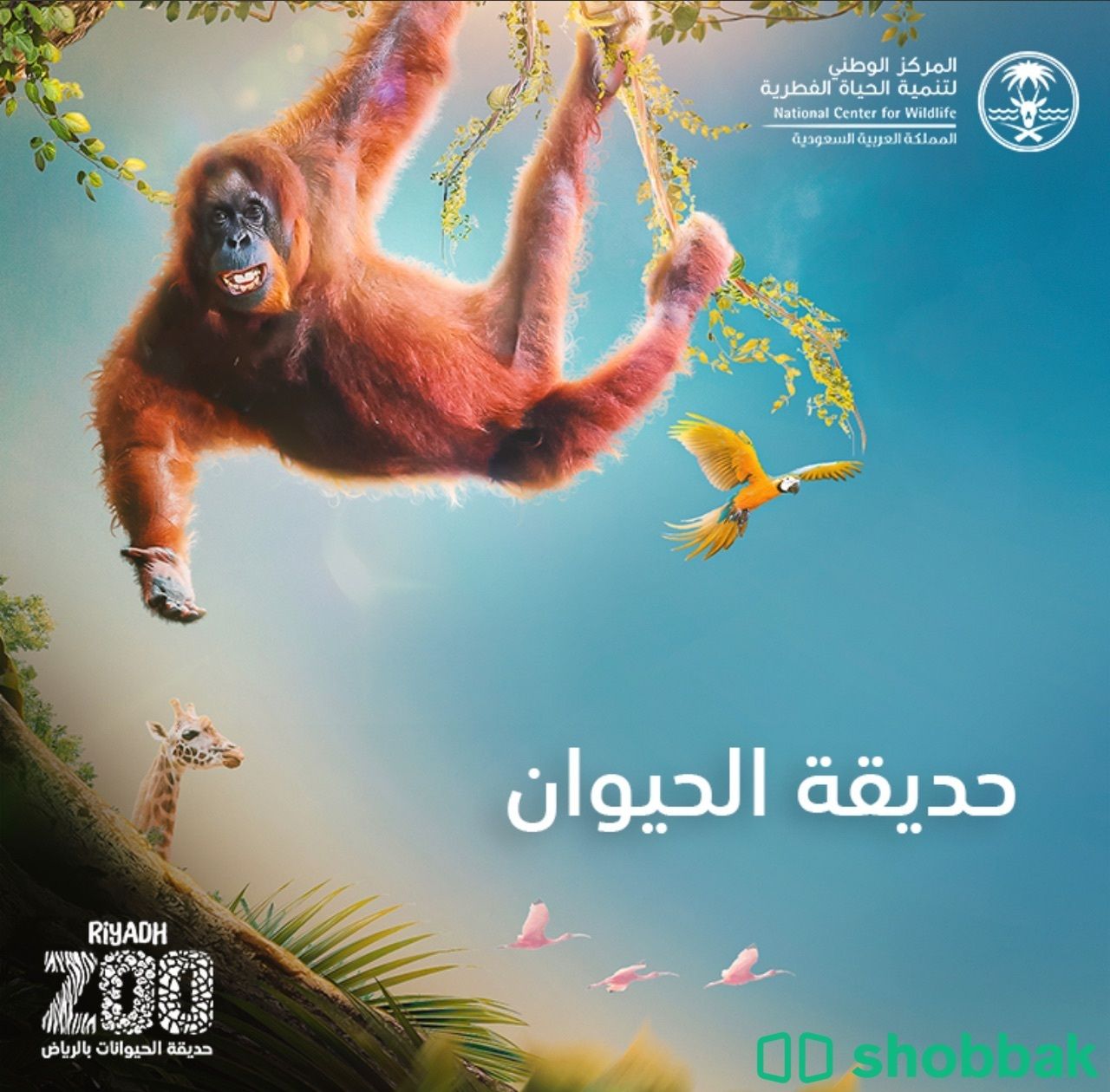 تذكرتين حديقة حيوان الرياض Shobbak Saudi Arabia