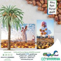 تصاميم سوشل ميديا وإعلانات Shobbak Saudi Arabia