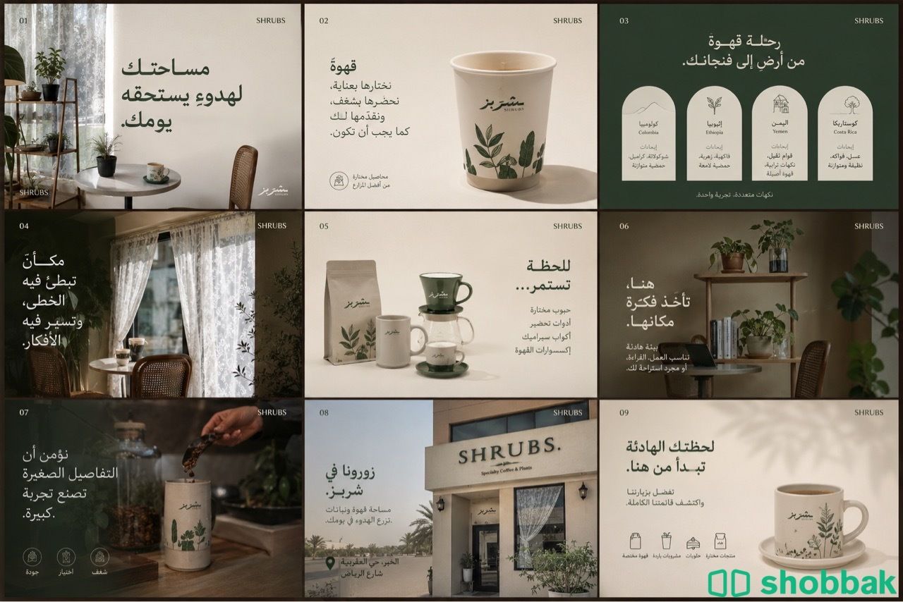 تصميم شباك السعودية