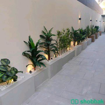 تنسيق حدائق 0538538784 Shobbak Saudi Arabia
