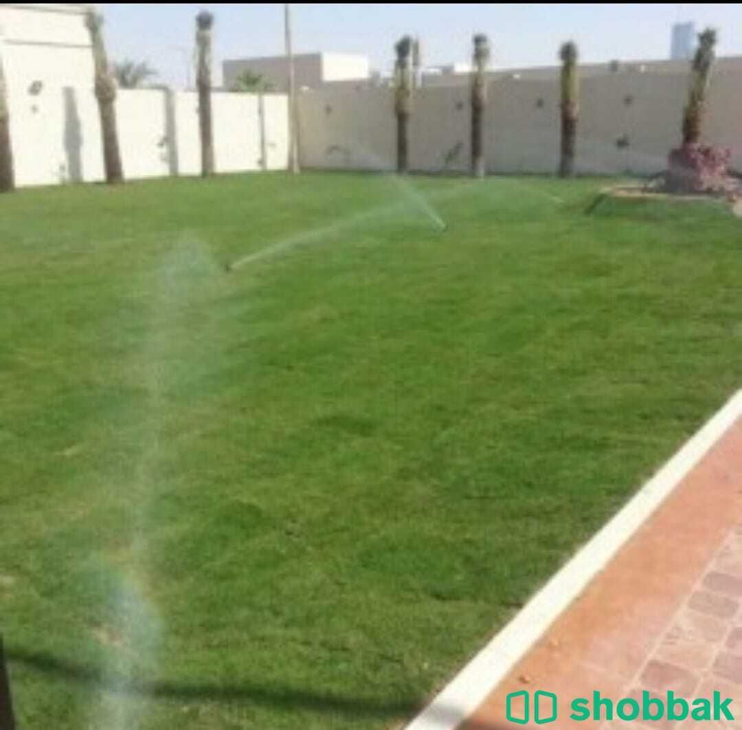 تنسيق حدائق  Shobbak Saudi Arabia