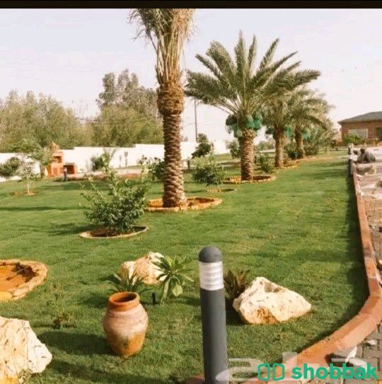 تنسيق حدائق  شباك السعودية