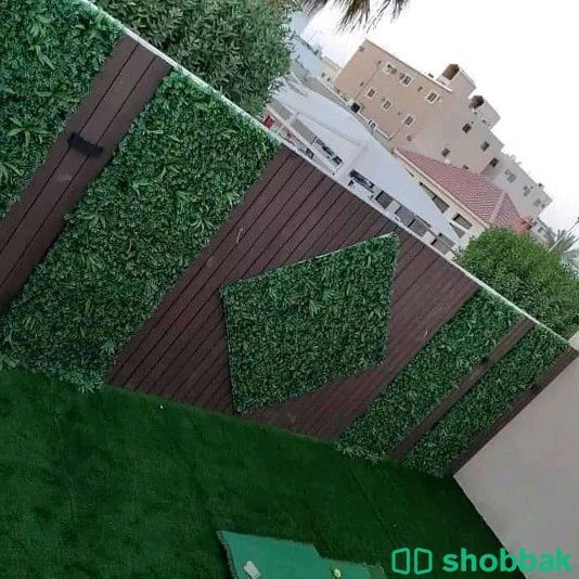 تنسيق حدائق جده ومكه  شباك السعودية