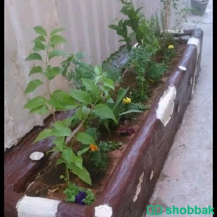 تنسيق حدائق والعشب الصناعي  Shobbak Saudi Arabia