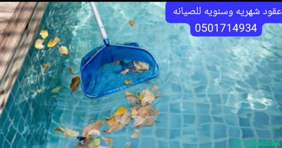 تنظيف وصيانة المسابح  Shobbak Saudi Arabia