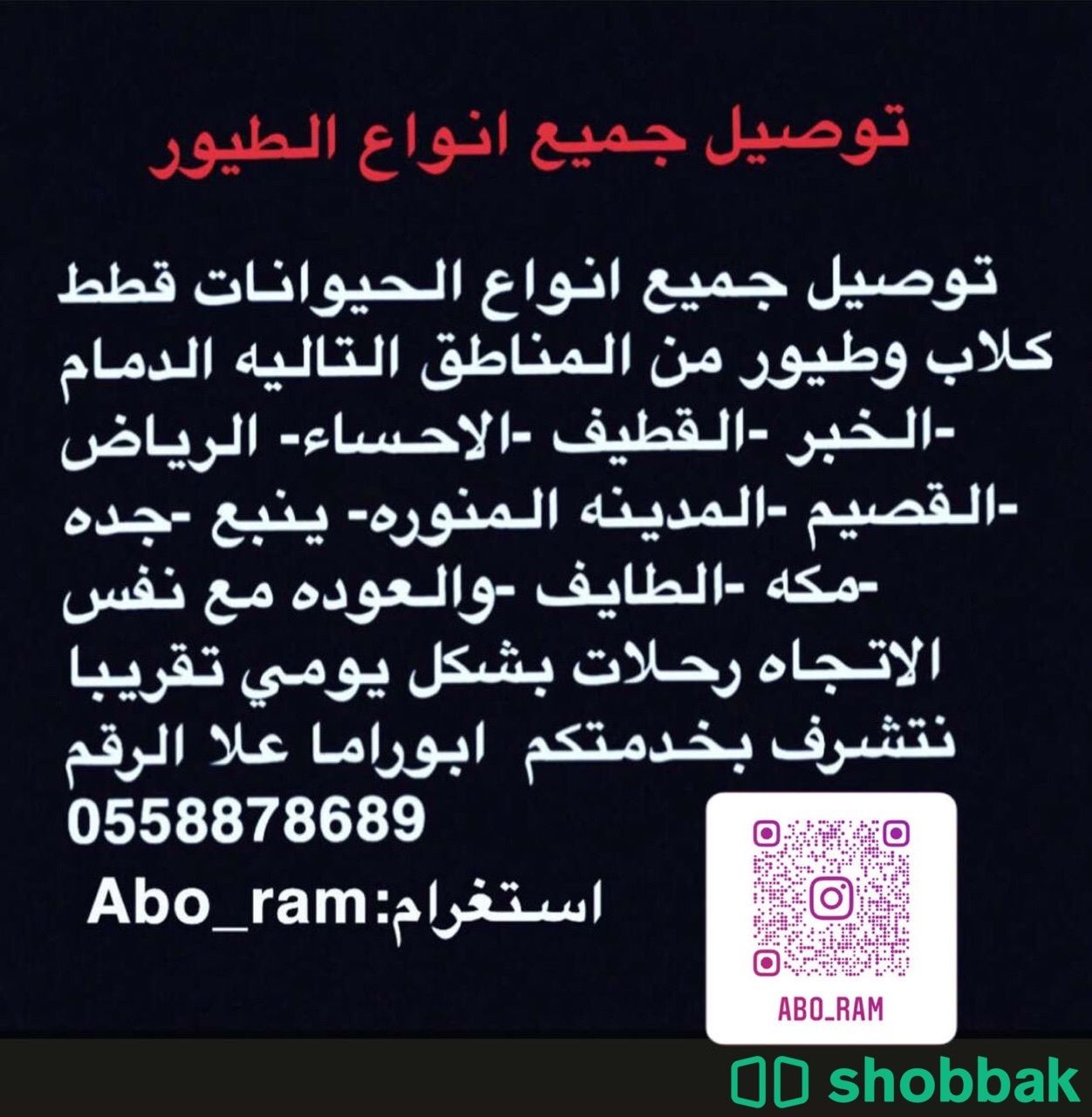 توصيل حيوانات قطط وطيور وكلاب  Shobbak Saudi Arabia