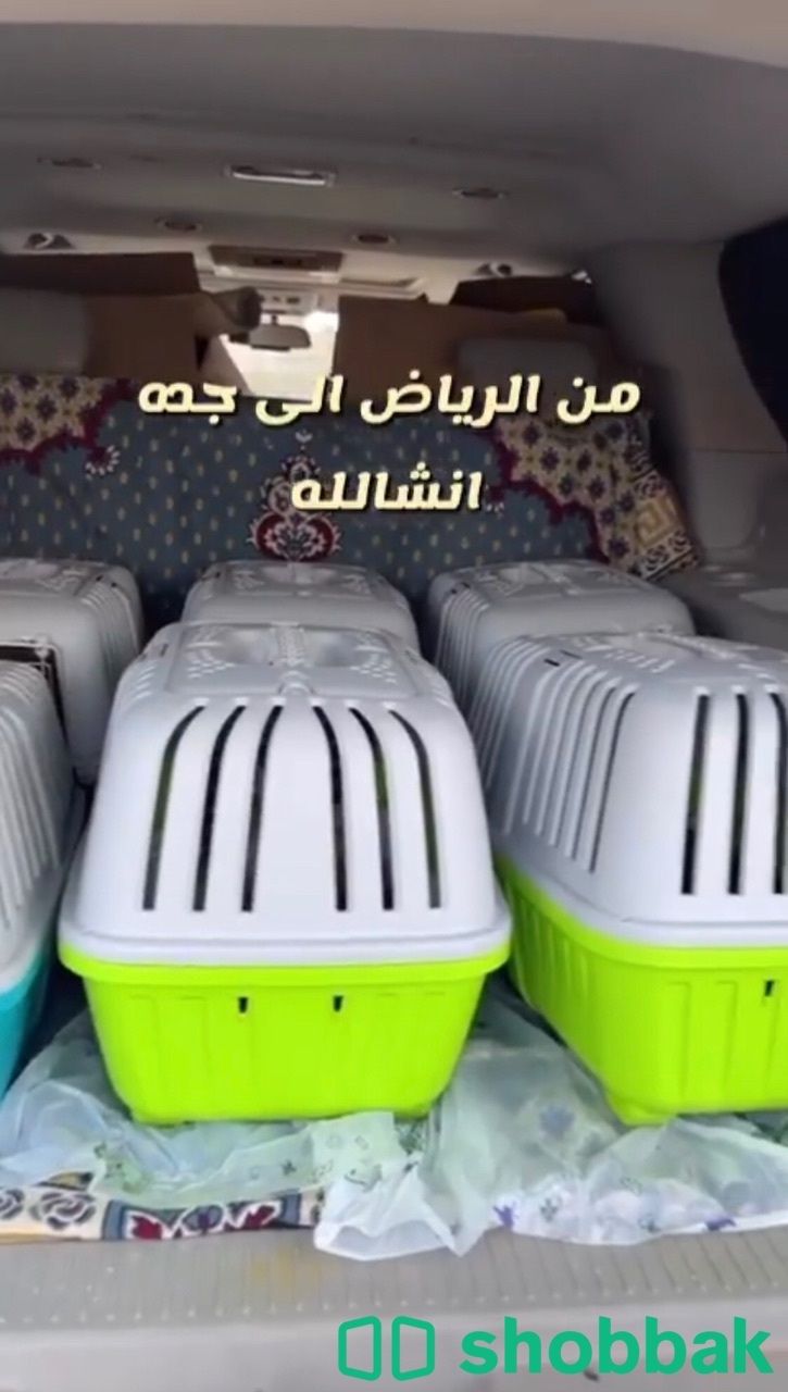 توصيل حيوانات قطط وطيور وكلاب  Shobbak Saudi Arabia