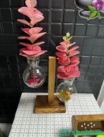 حامل زجاجي خشبي للنباتات (زهرية). Shobbak Saudi Arabia