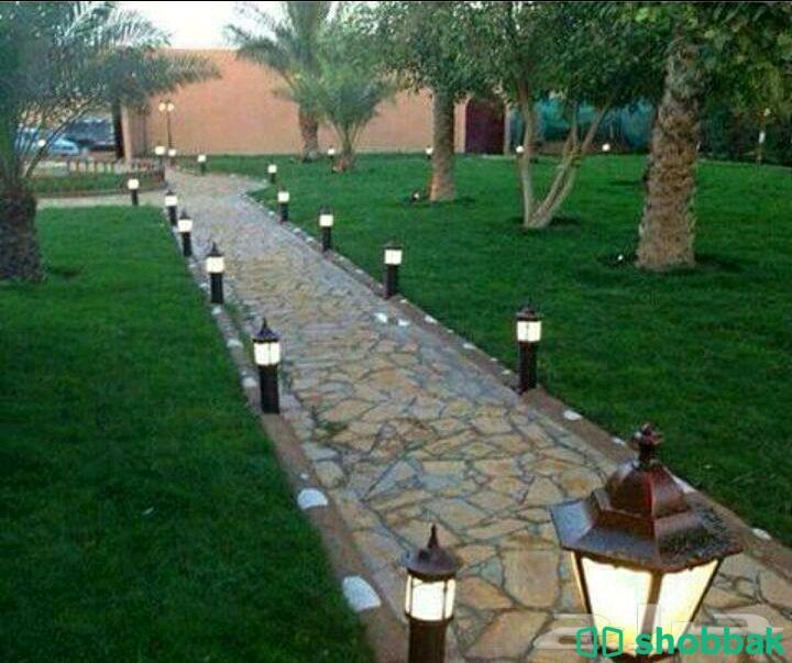 حدائق الرياض لتصميم وتنسيق الحدائق 0504684996 شباك السعودية