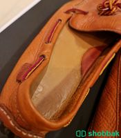 حذاء كول هان رجالي مقاس 44 ، اللون بني فاتح شباك السعودية