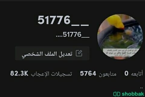 حساب تيك توك للبيع فيه خمس آلاف  Shobbak Saudi Arabia