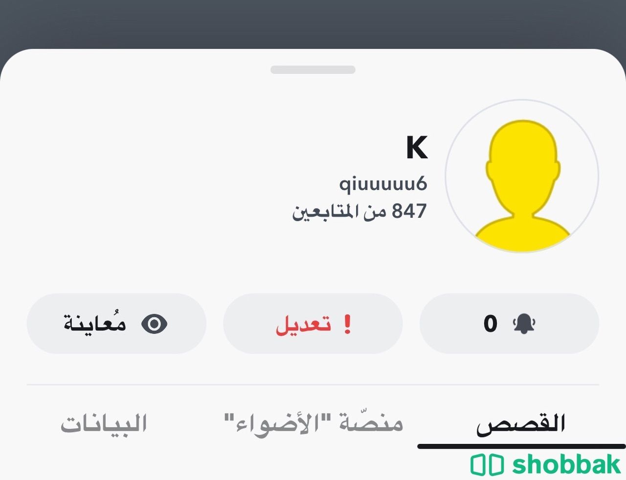 حساب سناب متفاعل Shobbak Saudi Arabia