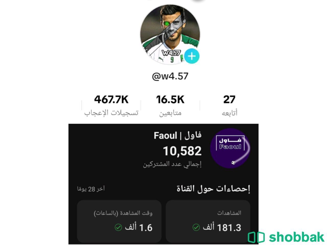 حساب يوتيوب تيك توك اكثر من 9000 متابع في كل حساب Shobbak Saudi Arabia