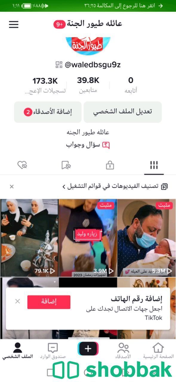 حسابات تيك توك Shobbak Jordan