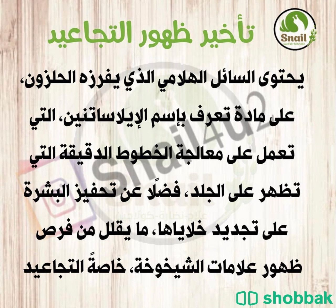 حلزون افريقي للتربيه وللعناية بالبشرة Shobbak Saudi Arabia